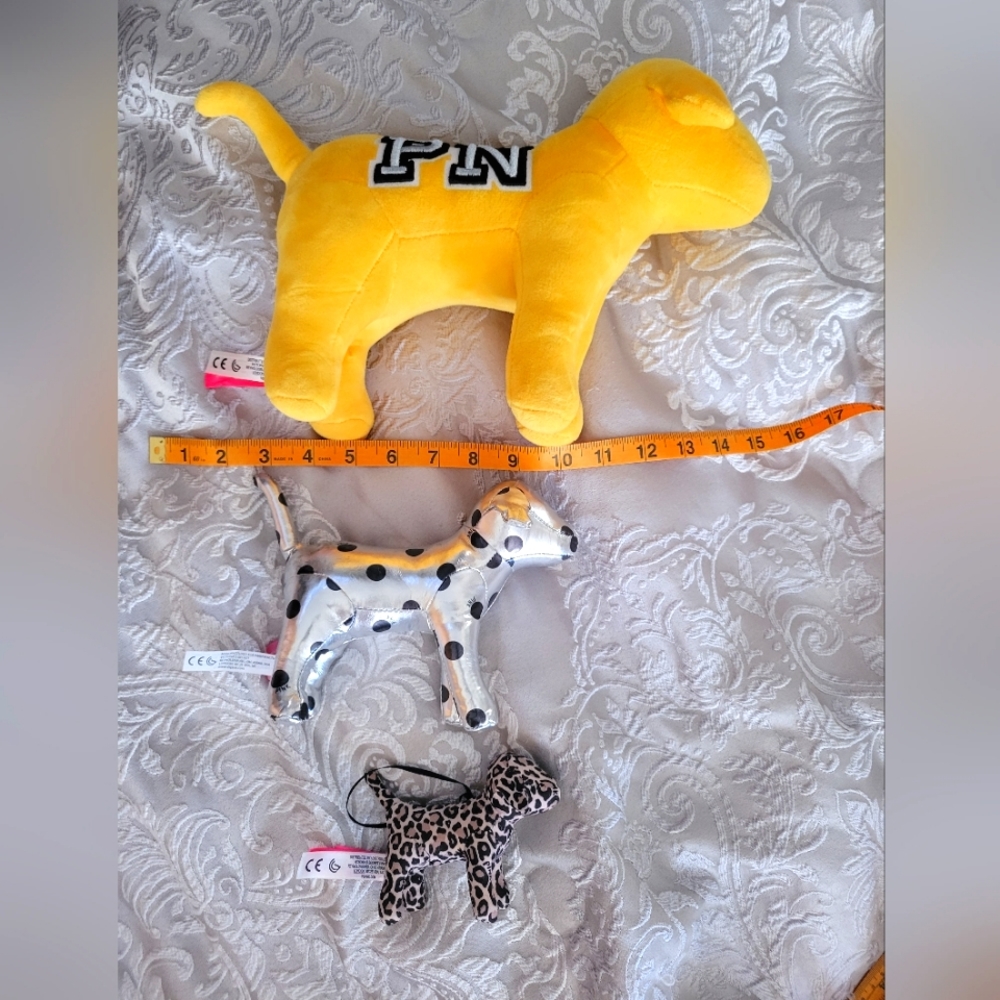 Vs dog's or dog